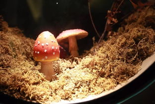 市委書記赴浙江考察 5天走訪5市,宜昌代表團(tuán)學(xué)到了什么好經(jīng)驗(yàn)