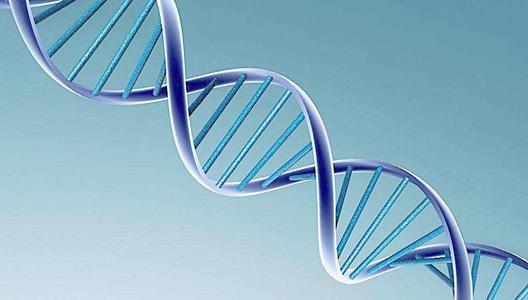 生物三字 生物工程,生物技術(shù),生物科學(xué)這些專業(yè)有什么區(qū)別